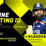 Best Online Cricket Betting Id Provider